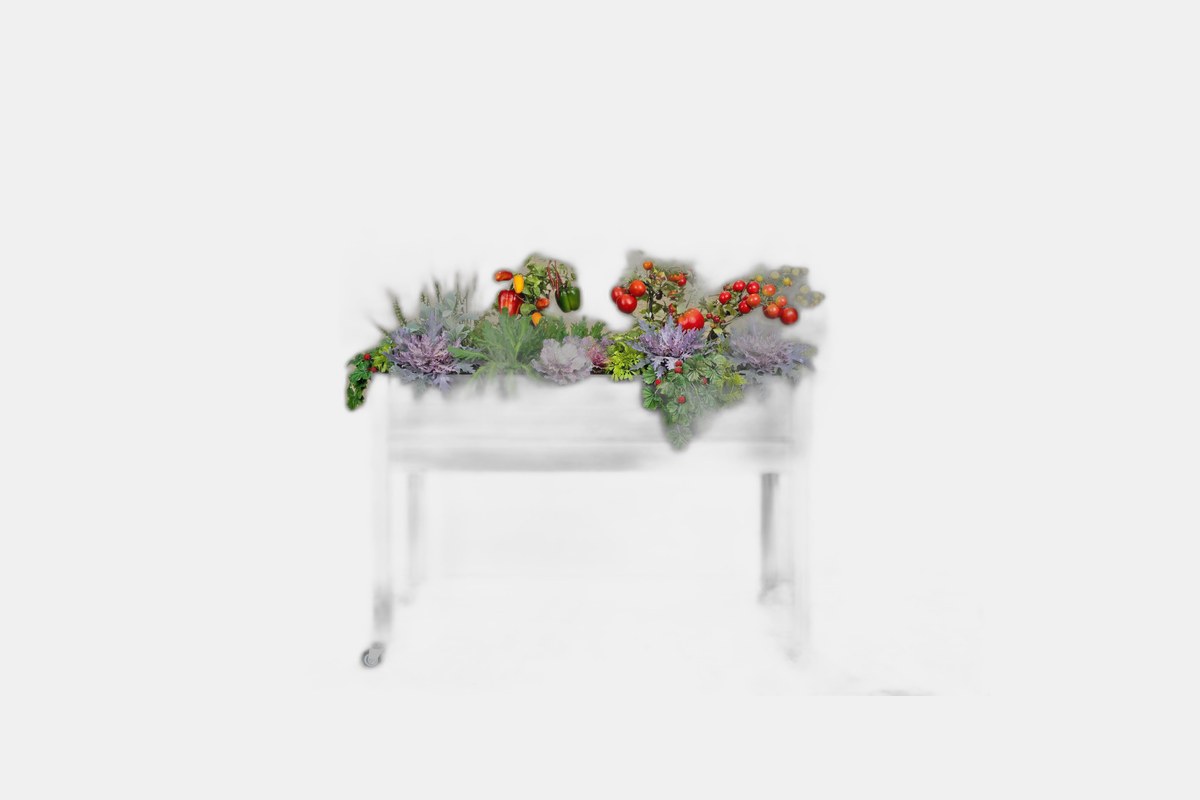 CedarCraft Self-Watering Elevated Spruce Planter