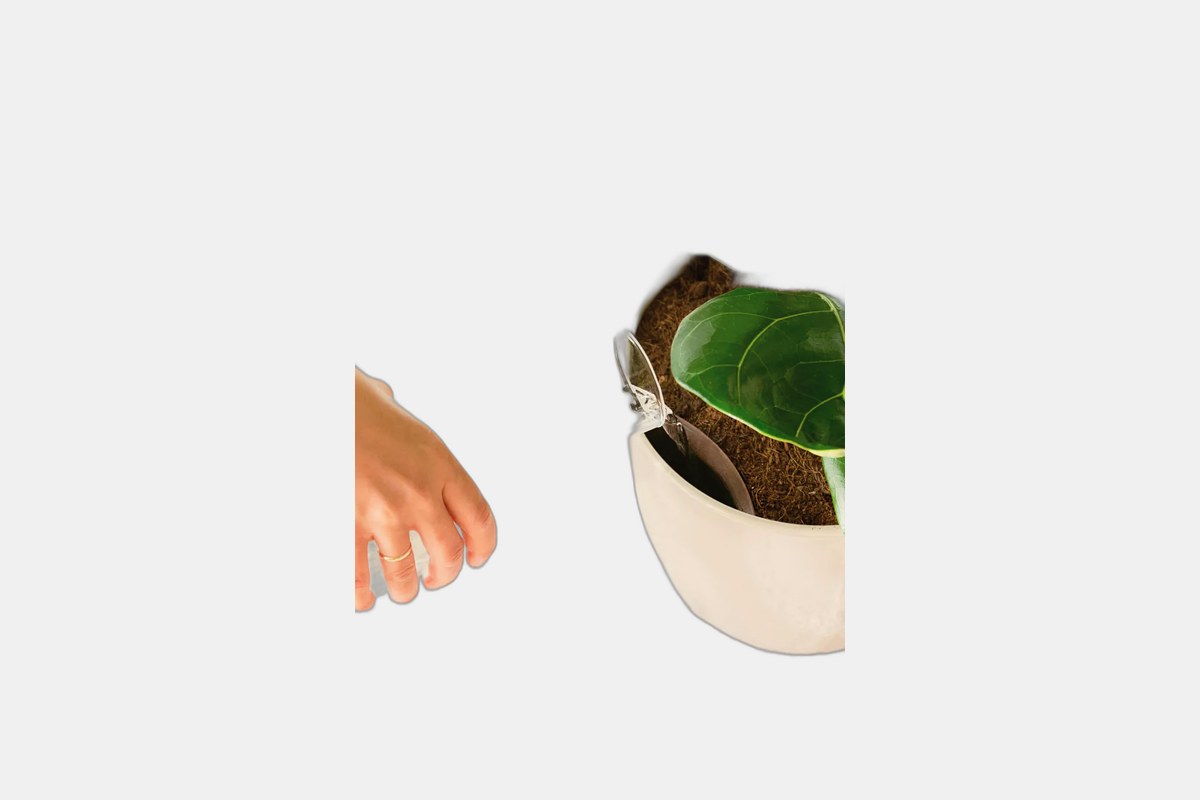 Easyplant