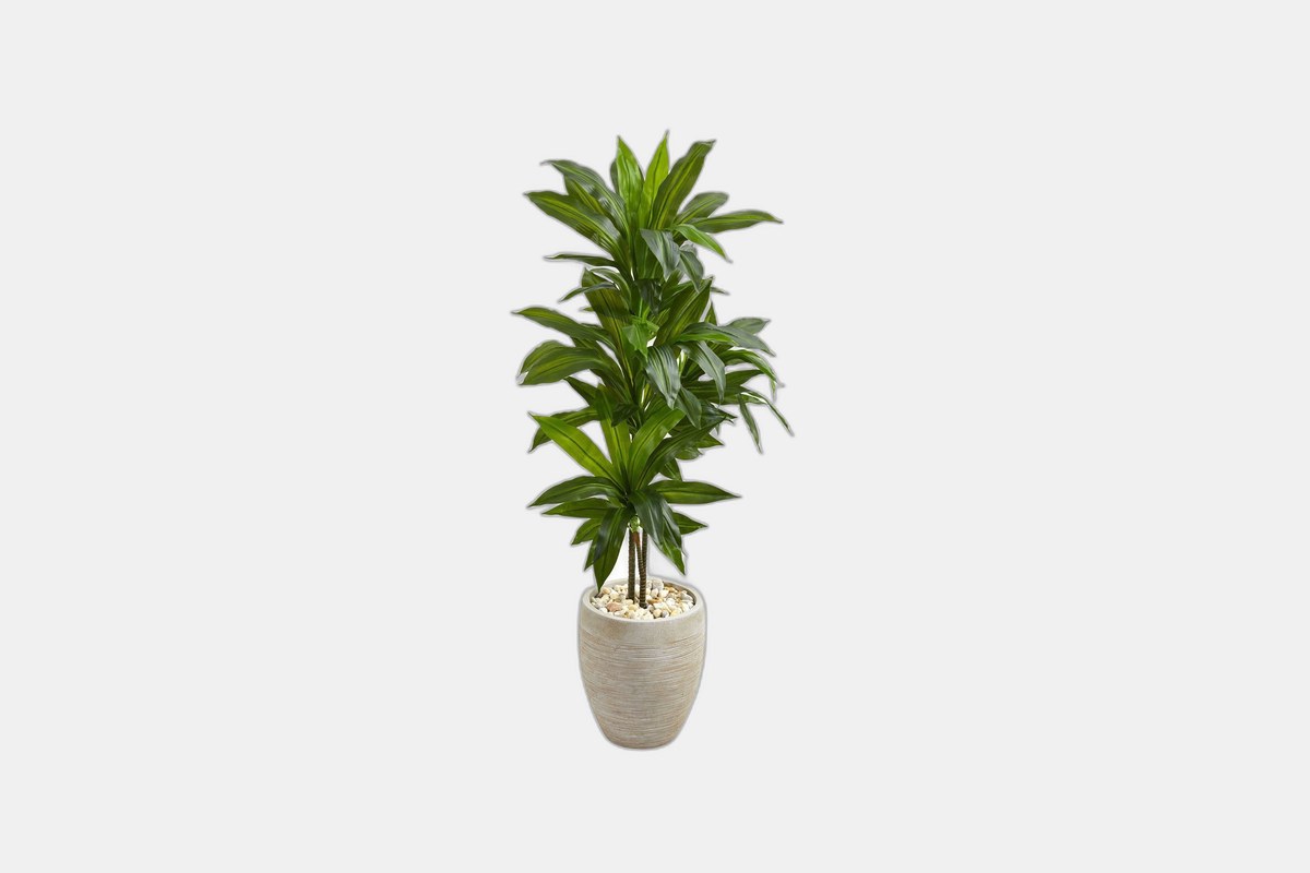 Nearly Natural 4' Artificial Dracaena Plant in Sand Colored Planter