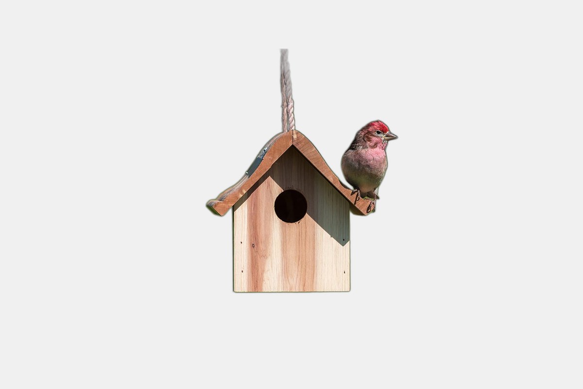 Perky-Pet Wren Home