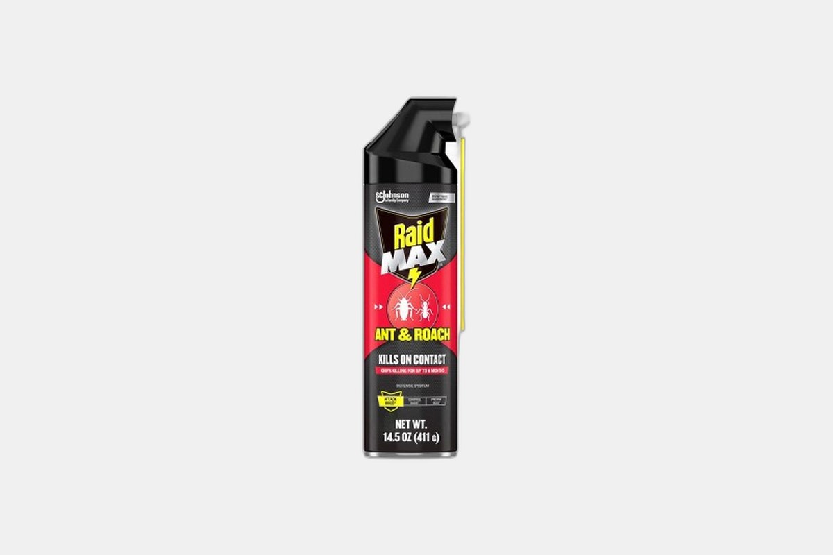 Raid Ant & Roach Killer Insecticide Spray