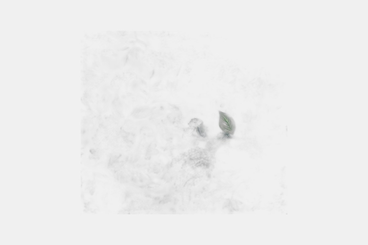 Rifle Paper Co. Juniper Forest Peel & Stick Wallpaper