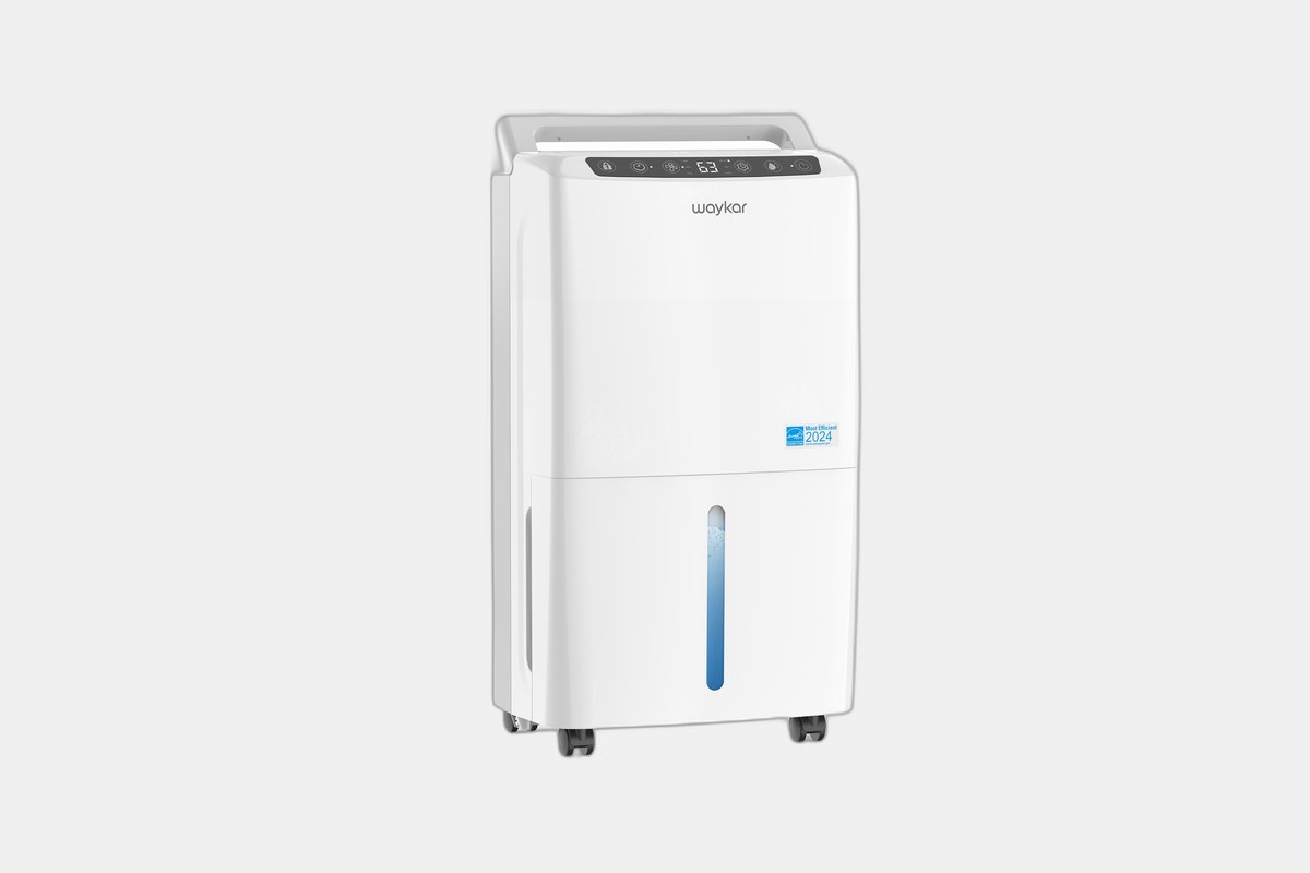 The 10 Best Small Dehumidifiers