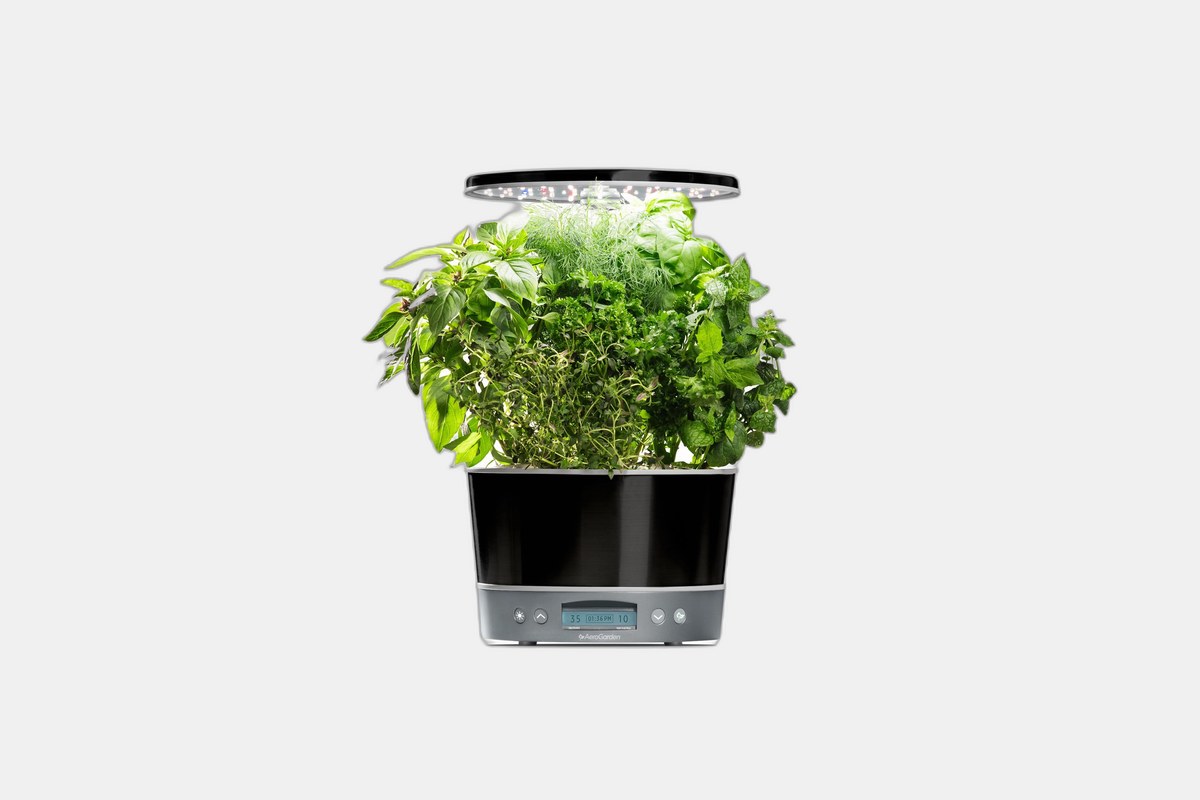 The 5 Best Indoor Greenhouses