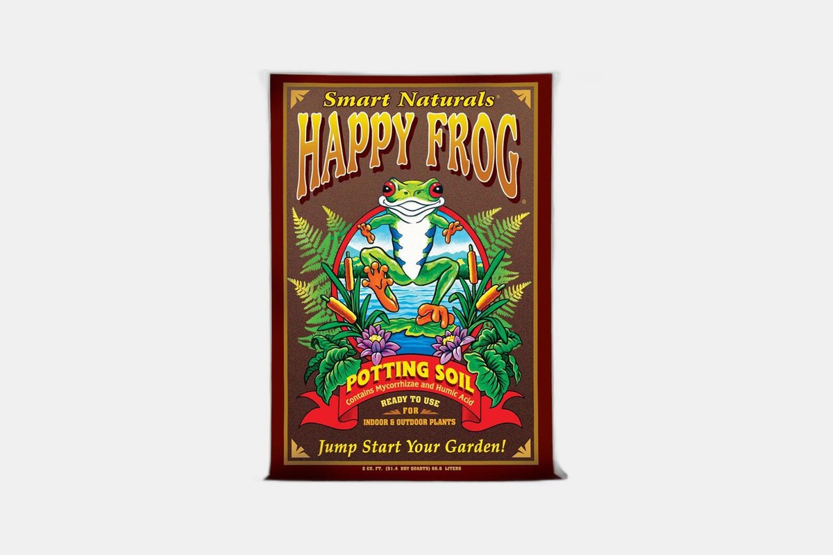 The 5 Best Seeding Soils