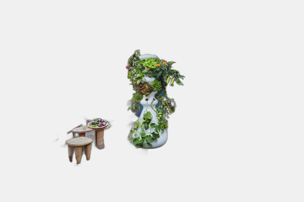 The 6 Best Indoor Garden Systems