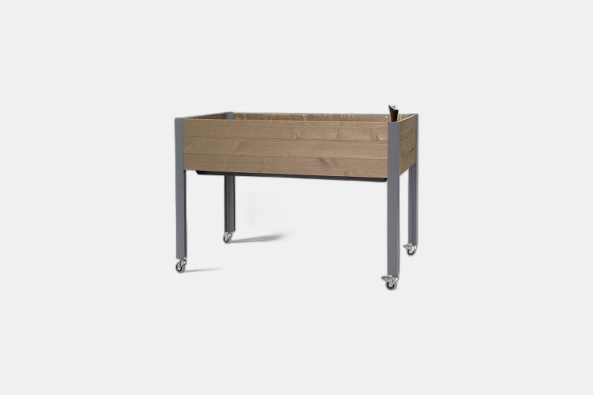 The 8 Best Self-Watering Planters